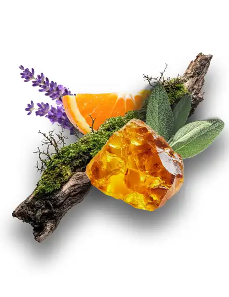 Amber Moss Clean Fragrance