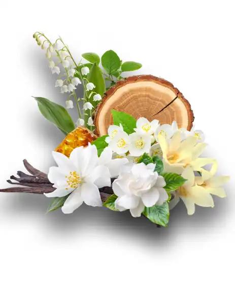 Asian Garden Type Clean Fragrance