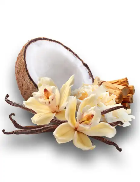 Beechwood Vanilla Clean Fragrance