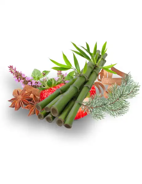 Black Bamboo Clean Fragrance