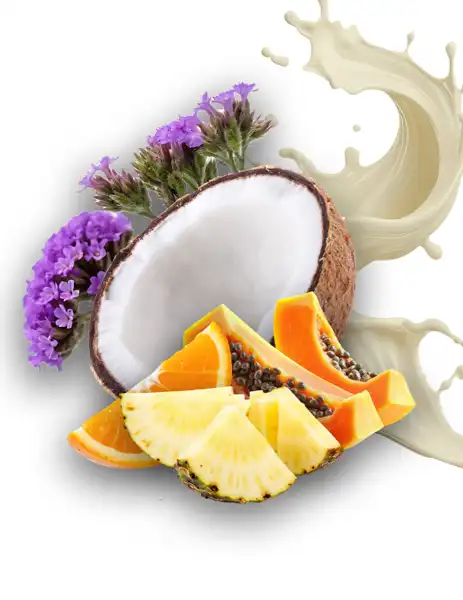 Creamy Coconut Clean Fragrance