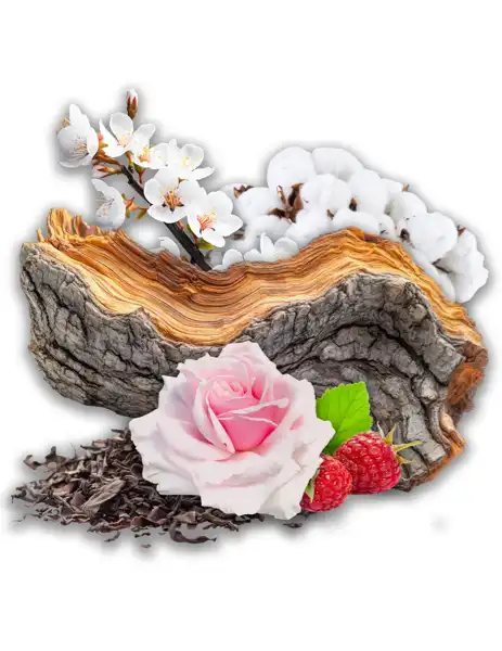 Crystal Cove Clean Fragrance