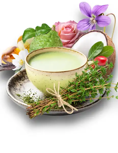 Green Tea & Thyme Clean Fragrance