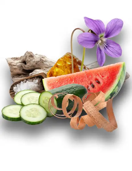 Kindling Clean Fragrance