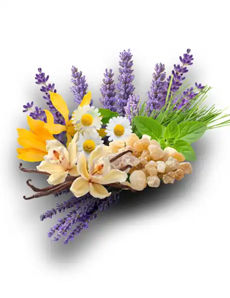 Lavender Fields Clean Fragrance