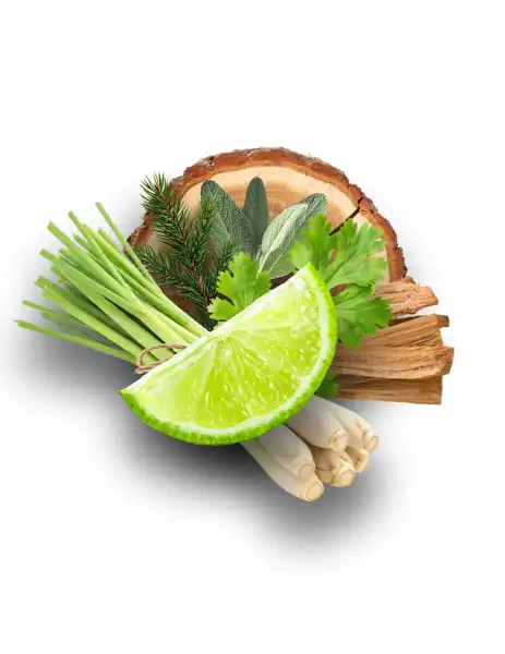 Lemongrass & Lime Clean Fragrance