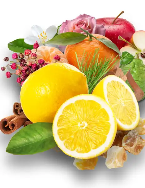 Lemon Shine Clean Fragrance