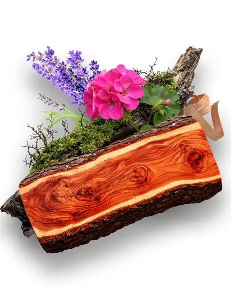 Mahogany & Teakwood CF
