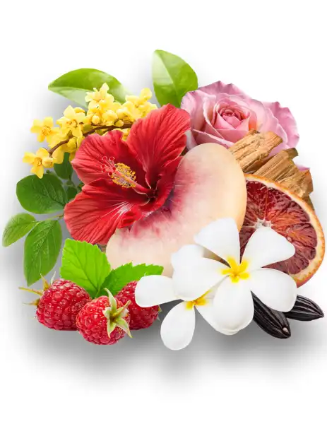 Peach Hibiscus CF + Hawaiian Sandalwood