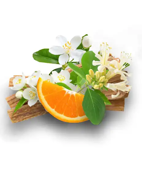 Pikake CF + Hawaiian Sandalwood