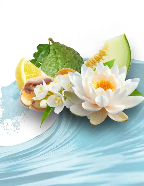 The Ritz Carlton Type Clean Fragrance