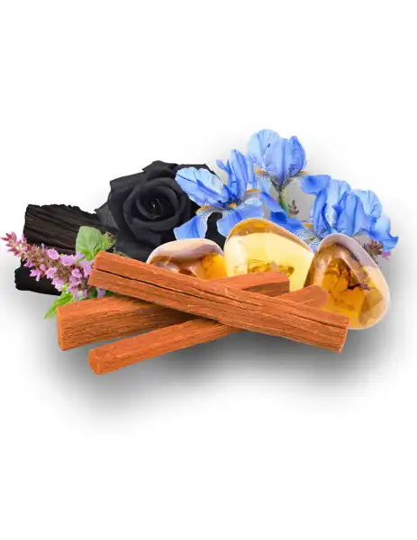 Sandalwood and Amber Clean Fragrance