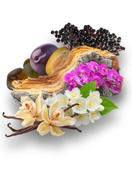 Floral Brisa Clean Fragrance