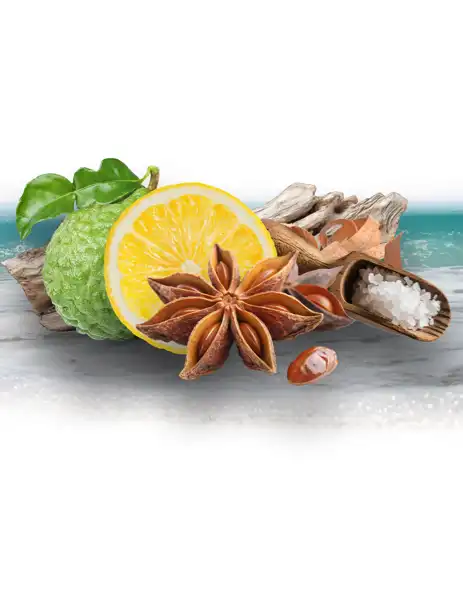 Shore Thing Clean Fragrance
