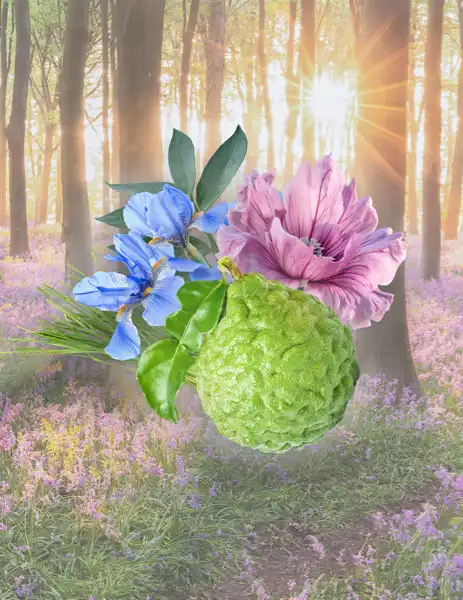 Sweet Spring Musk Clean Fragrance