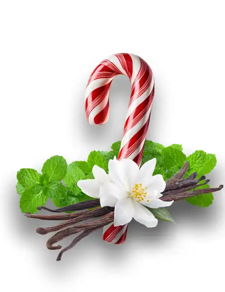 Twisted Peppermint Clean Fragrance
