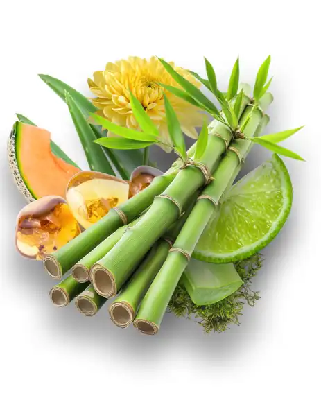 Himalayan Bamboo Clean Fragrance