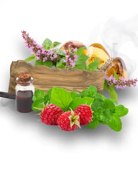 White Musk Clean Fragrance